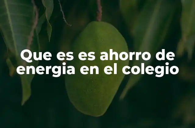 Que es es Ahorro de Energia en el Colegio