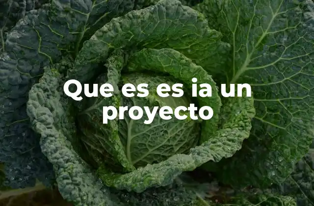 Que es es Ia un Proyecto