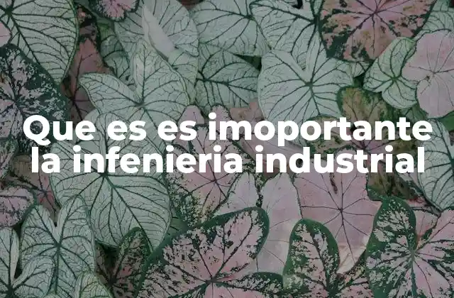 Que es es Imoportante la Infenieria Industrial