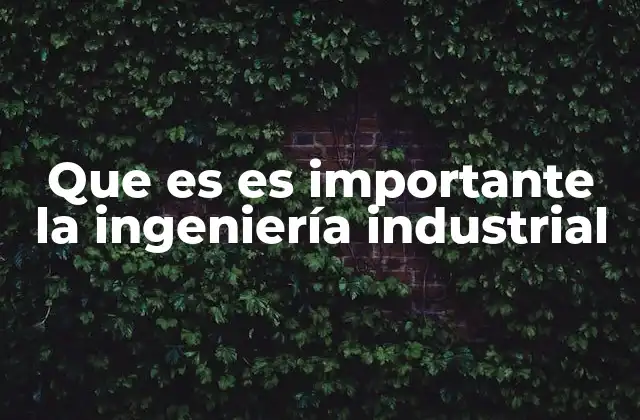 Que es es Importante la Ingeniería Industrial