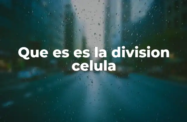 Que es es la Division Celula