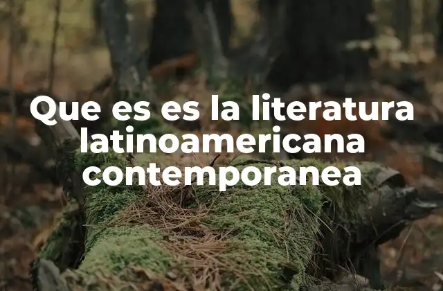 Que es es la Literatura Latinoamericana Contemporanea