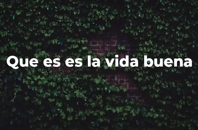 Que es es la Vida Buena