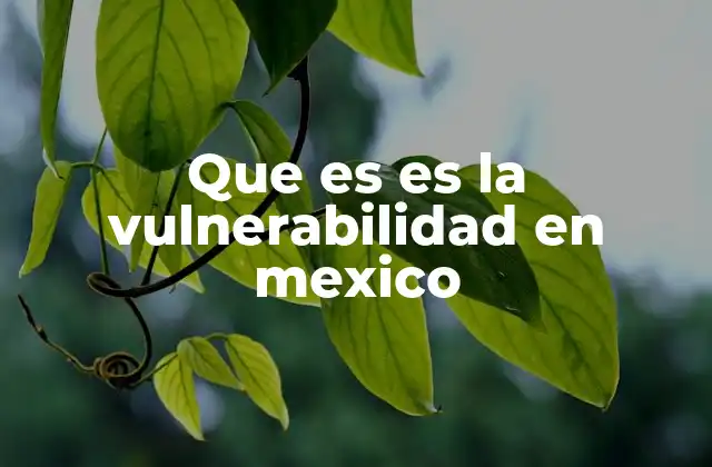 Que es es la Vulnerabilidad en Mexico 2 Factores que contribuyen a la vulnerabilidad en México