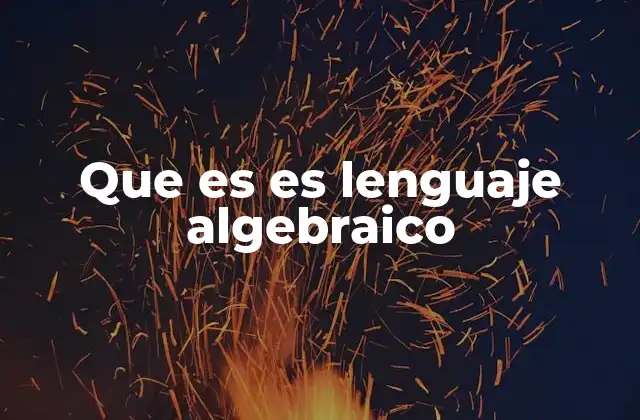 Que es es Lenguaje Algebraico