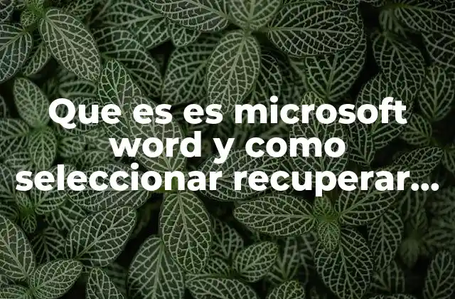 Que es es Microsoft Word y como Seleccionar Recuperar Texto