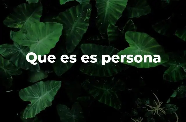Que es es Persona