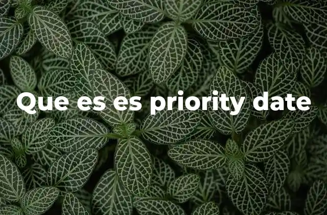 Que es es Priority Date