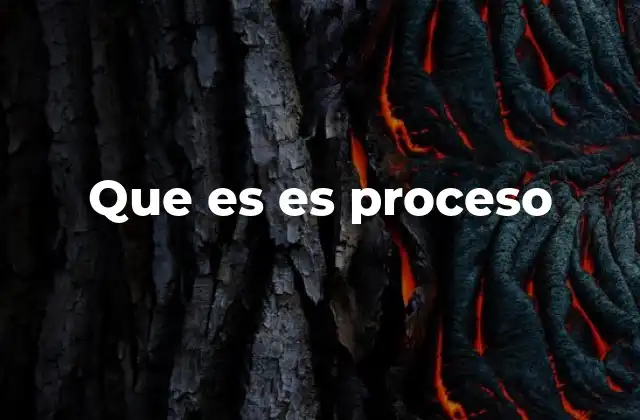 Que es es Proceso
