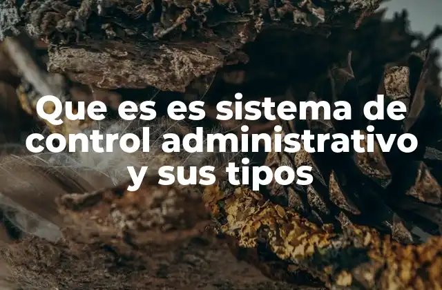 Que es es Sistema de Control Administrativo y Sus Tipos 2 Componentes esenciales del sistema de control administrativo