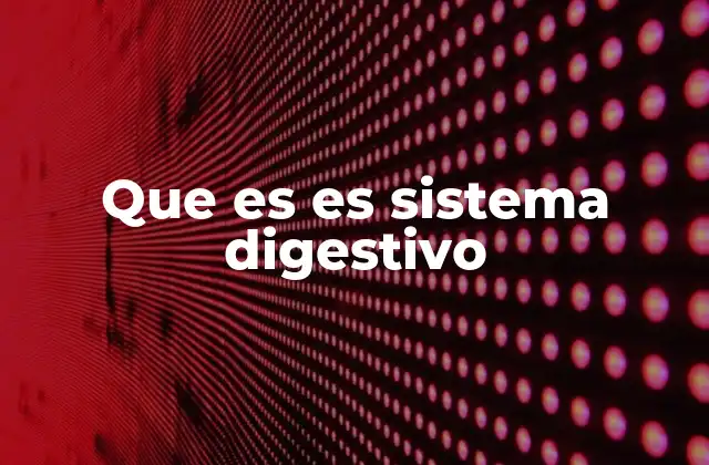 Que es es Sistema Digestivo