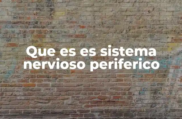 Que es es Sistema Nervioso Periferico