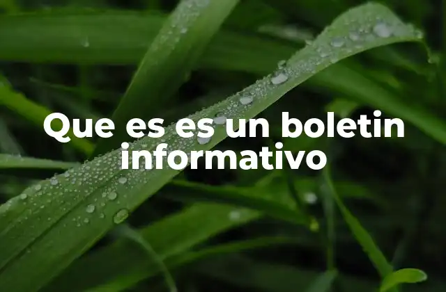 Que es es un Boletin Informativo 2 La importancia de mantener una comunicación constante