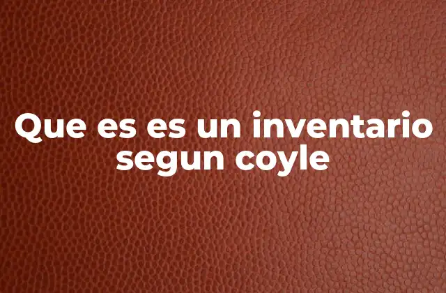 Que es es un Inventario Segun Coyle