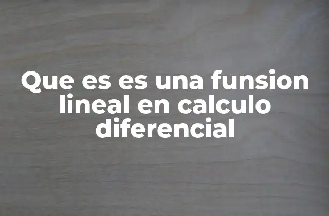 Que es es una Funsion Lineal en Calculo Diferencial