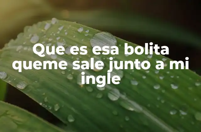 Que es Esa Bolita Queme Sale Junto a Mi Ingle