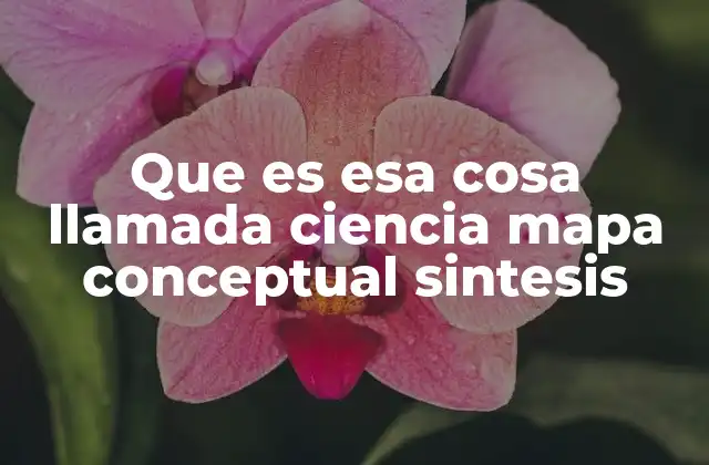 Que es Esa Cosa Llamada Ciencia Mapa Conceptual Sintesis