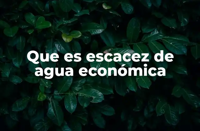 Que es Escacez de Agua Económica