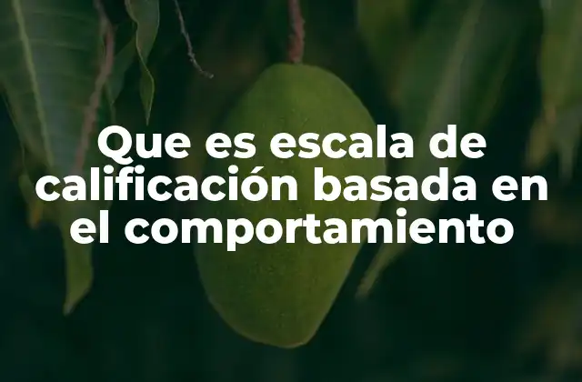 Que es Escala de Calificación Basada en el Comportamiento