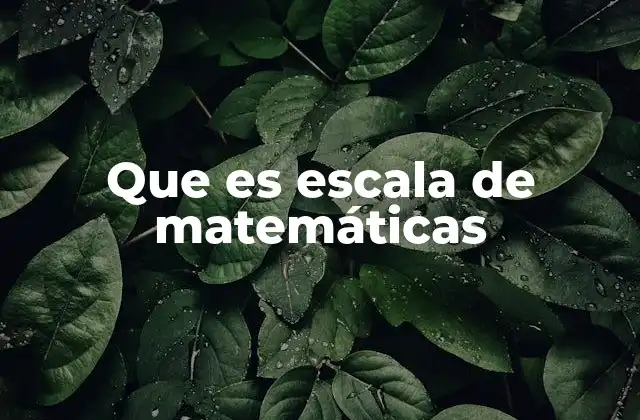 Que es Escala de Matemáticas