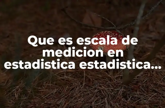 Que es Escala de Medicion en Estadistica Estadistica No Parametrica