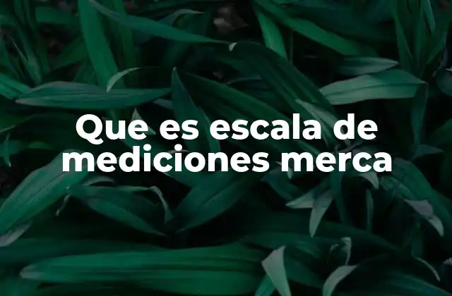 Que es Escala de Mediciones Merca