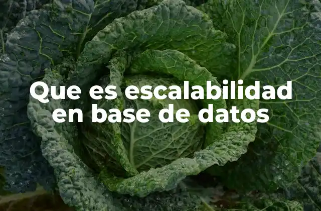 Que es Escalabilidad en Base de Datos