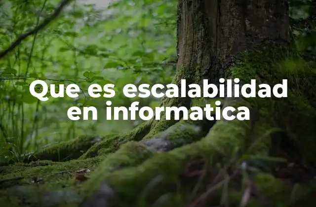 Que es Escalabilidad en Informatica