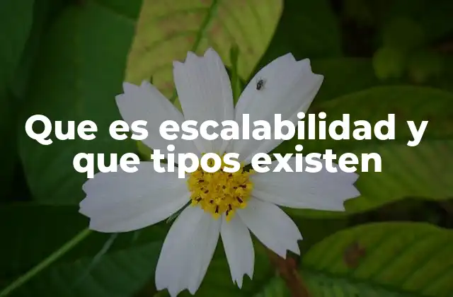 Que es Escalabilidad y que Tipos Existen