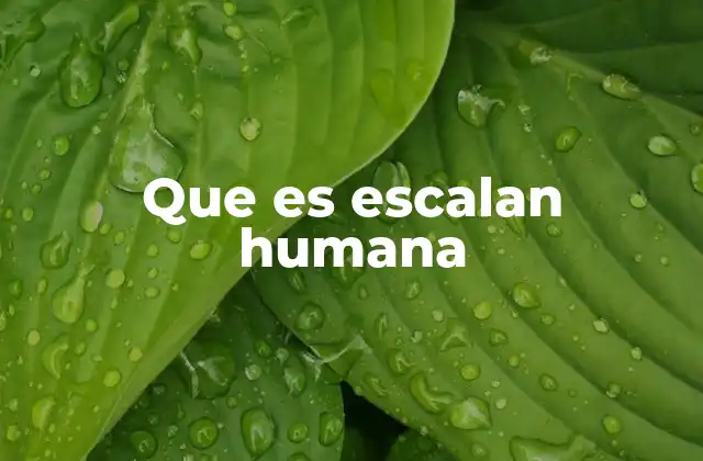 Que es Escalan Humana