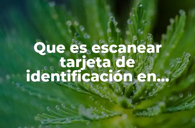 Que es Escanear Tarjeta de Identificación en Instagram