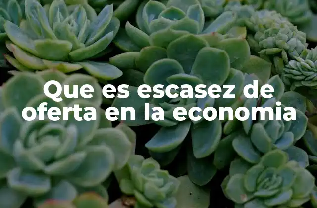 Que es Escasez de Oferta en la Economia