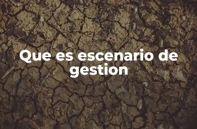 Que es Escenario de Gestion