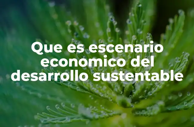 Que es Escenario Economico Del Desarrollo Sustentable
