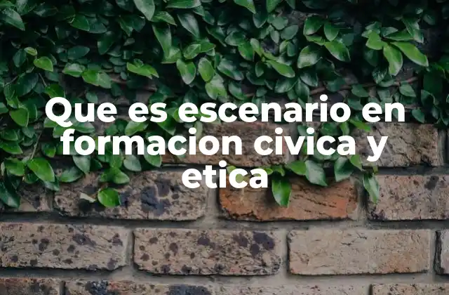 Que es Escenario en Formacion Civica y Etica