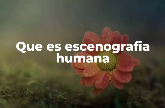 Que es Escenografia Humana