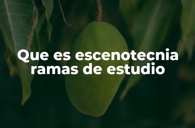 Que es Escenotecnia Ramas de Estudio