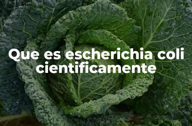 Que es Escherichia Coli Cientificamente 2 La importancia de Escherichia coli en la ciencia moderna