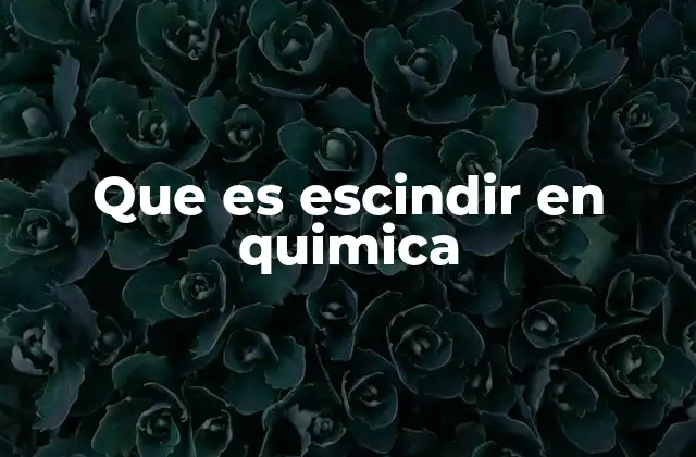 Escisión en procesos químicos y su relevancia