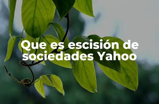 Que es Escisión de Sociedades Yahoo