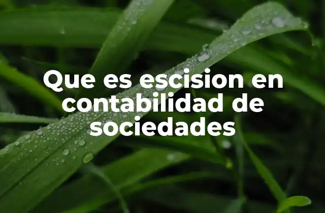 Que es Escision en Contabilidad de Sociedades
