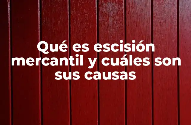 Qué es Escisión Mercantil y Cuáles Son Sus Causas