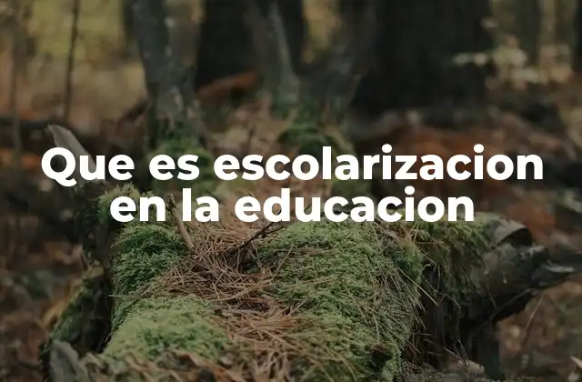 Que es Escolarizacion en la Educacion