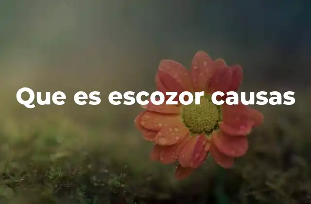 Que es Escozor Causas 2 Cómo se manifiesta el escozor y qué factores lo empeoran