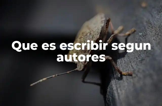 Que es Escribir Segun Autores