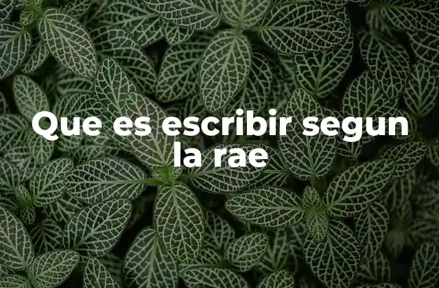 Que es Escribir Segun la Rae