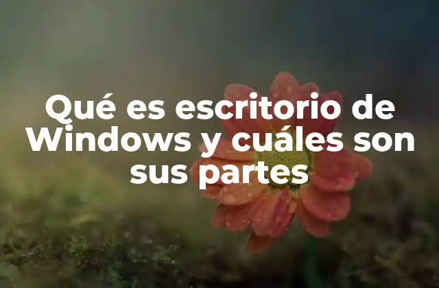 Qué es Escritorio de Windows y Cuáles Son Sus Partes