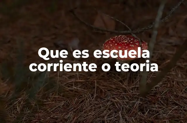 Las raíces filosóficas de las corrientes educativas