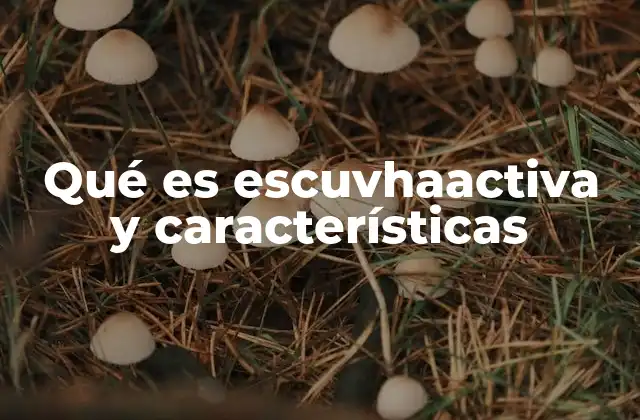 Qué es Escuvhaactiva y Características
