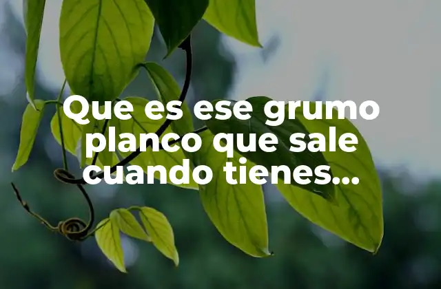 Que es Ese Grumo Planco que Sale Cuando Tienes Relaciones